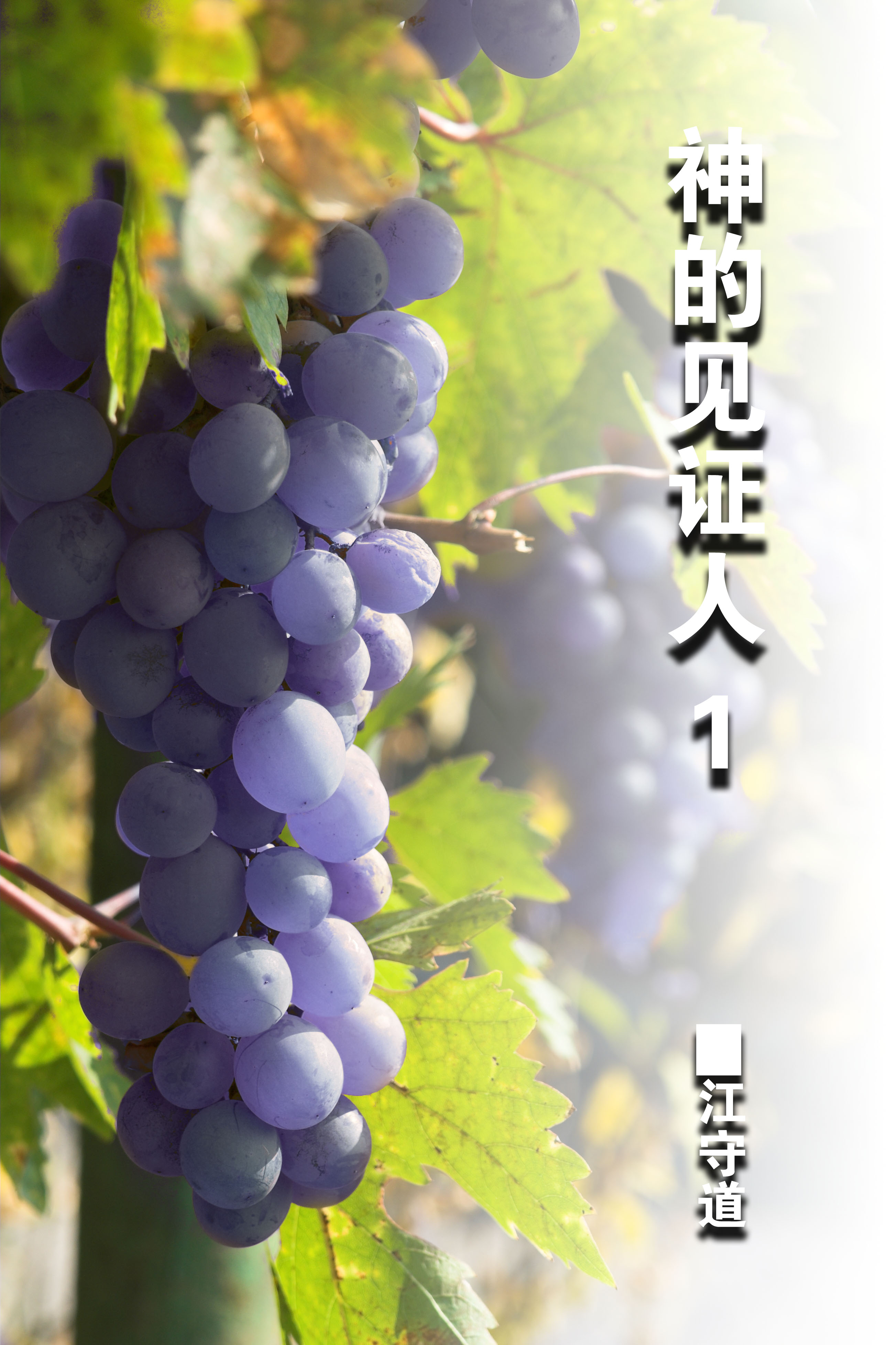 第十七期 2016年9月